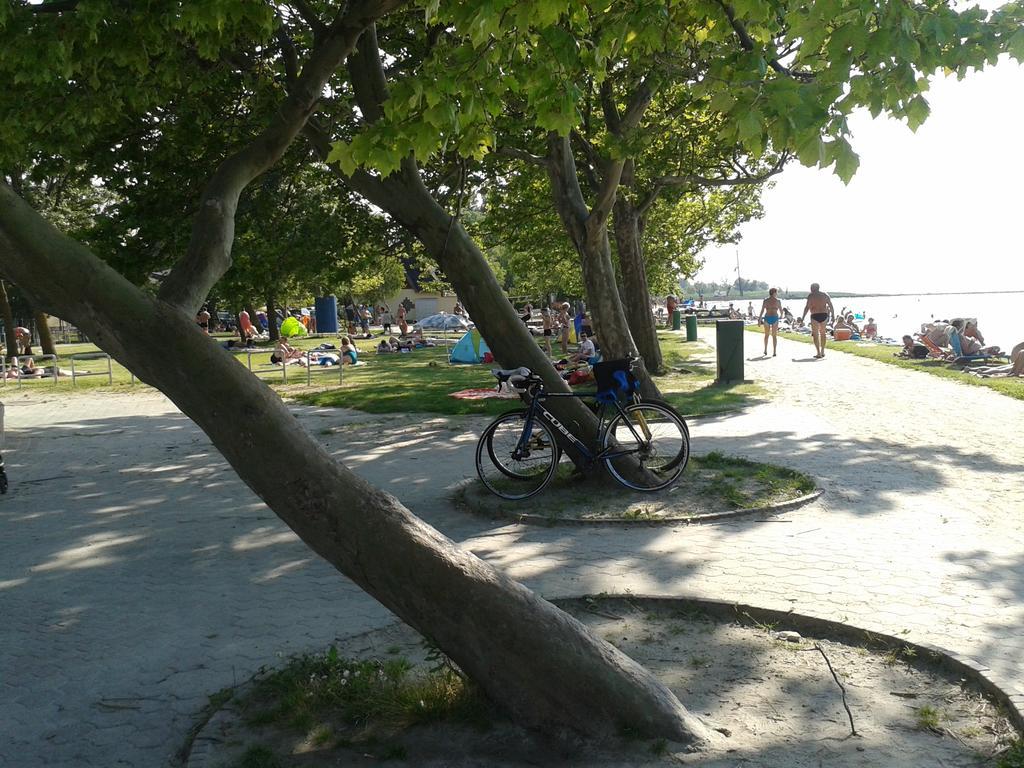 Apartment Munkacsy Balatonfenyves